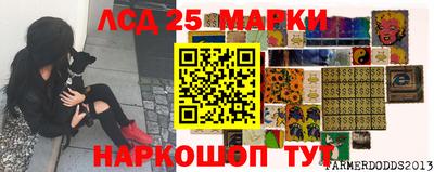 МДПВ Кунгур