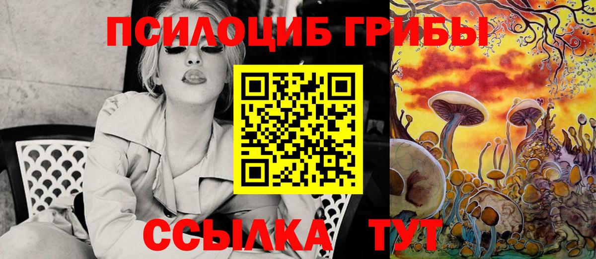 Псилоцибиновые грибы Psilocybe  Вход с VPN  Касимов 