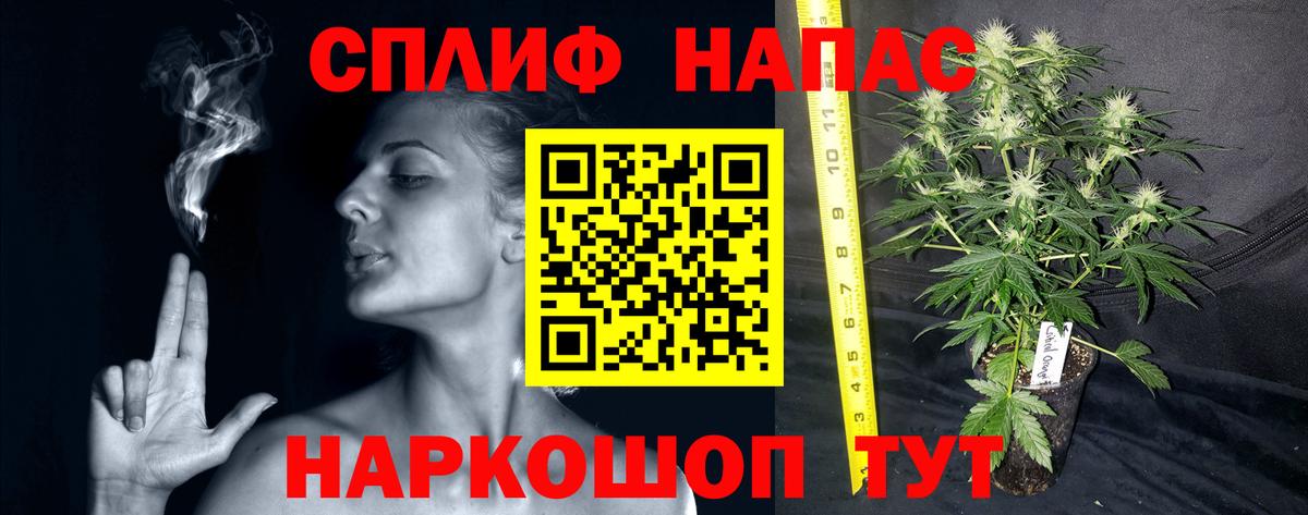 Канабис SATIVA & INDICA Касимов
